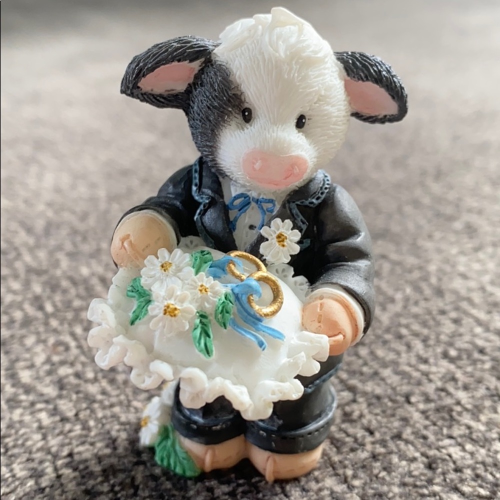 3/$25   Mary’s Moo Moos—Ring Bearer